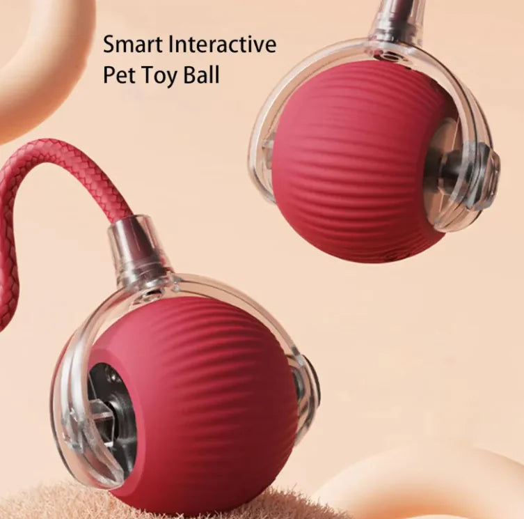 Interactive Rope Ball Toy for Cats & Small Pets