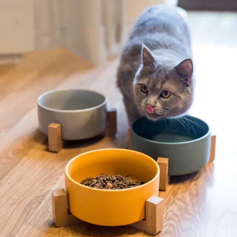 No-Tip Ceramic Pet Food & Water Bowl