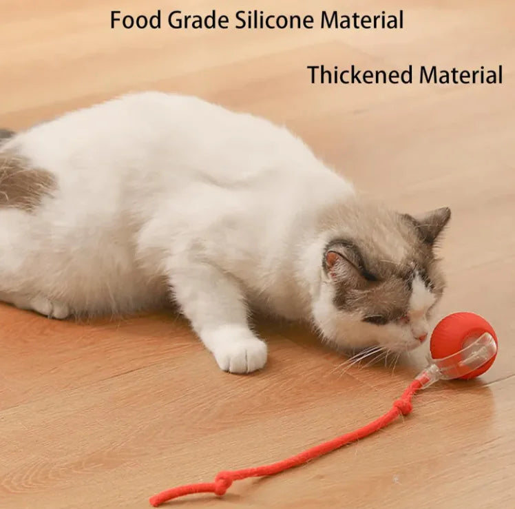 Interactive Rope Ball Toy for Cats & Small Pets
