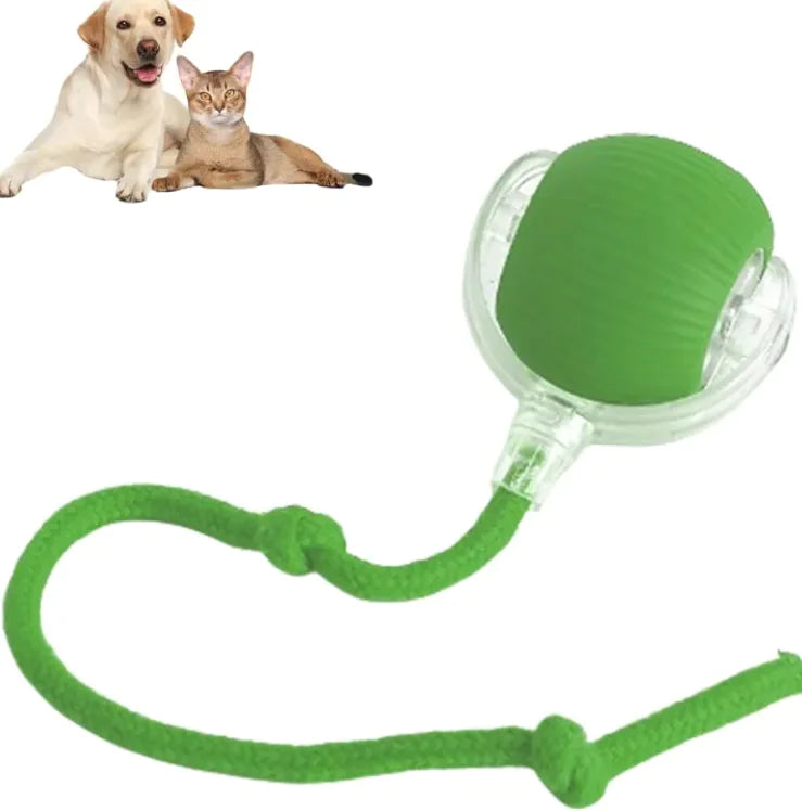 Interactive Rope Ball Toy for Cats & Small Pets