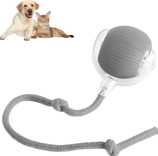 Interactive Rope Ball Toy for Cats & Small Pets